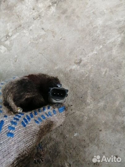 Датчик фреона Nissan Primera P12 QG16