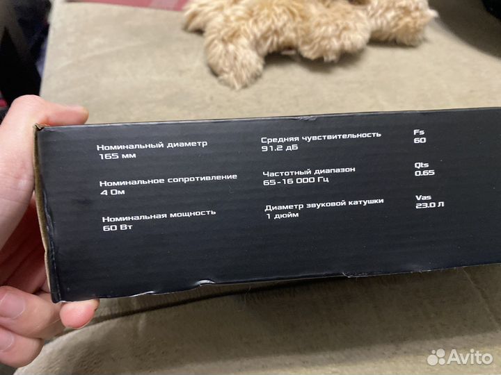 Dl audio gryphon lite V. 2 165