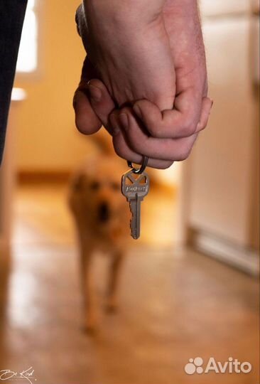 Риелтор (агент по недвижимости)