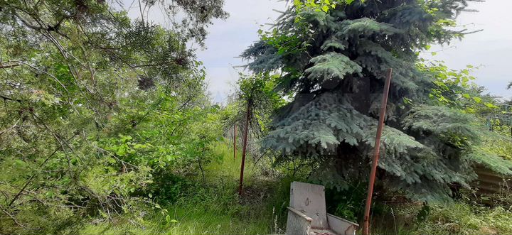 Дача 50 м² на участке 6 сот.