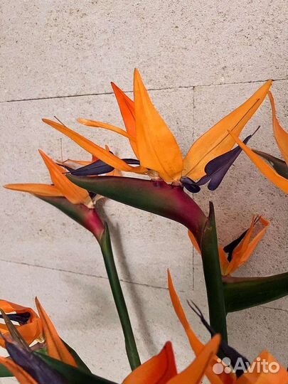 Искуственная композиция