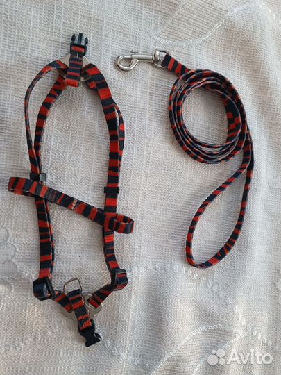 Шлейка с поводком для кошки