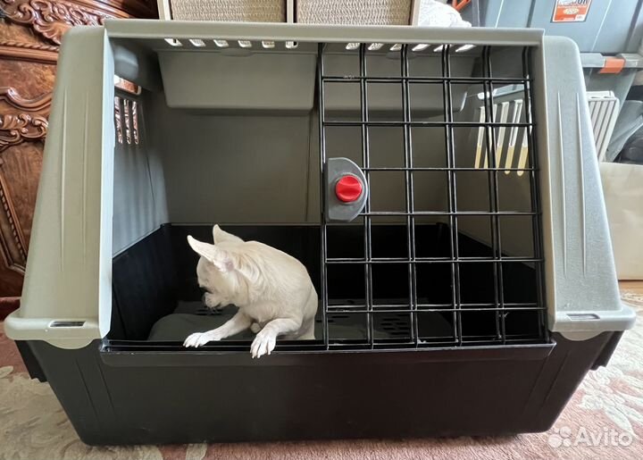 Авто-бокс (переноска, клетка) Ferplast (Италия)