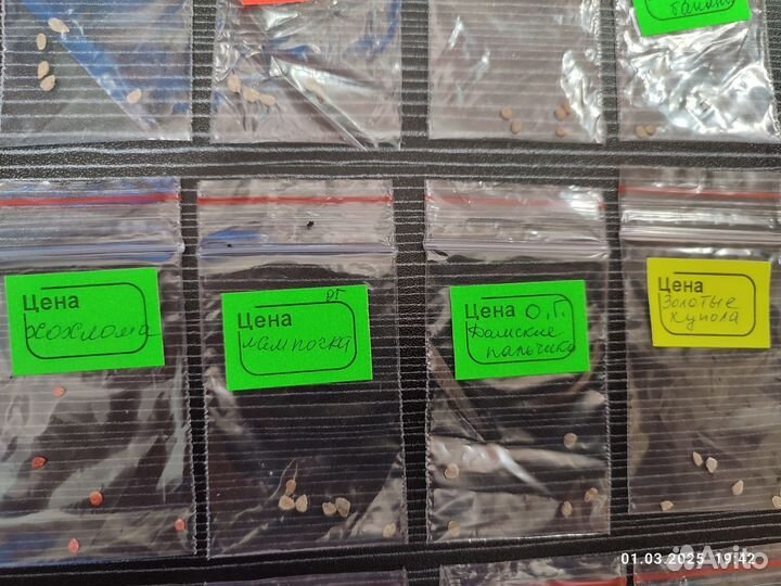 Коллекция семян томатов для консервации