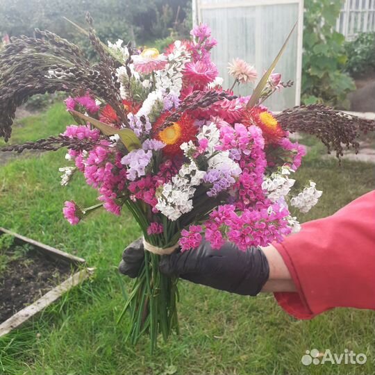 Букет цветов из сухоцветов