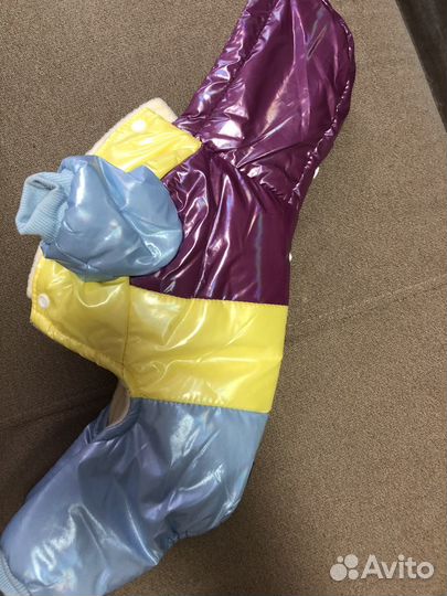 Костюм для собаки