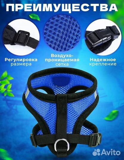 Шлейка для собак