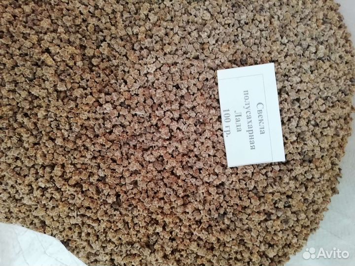 Семена кормовой свёклы Эккендорфская Лада Бригадир