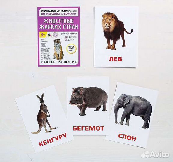 Карточки методика домана