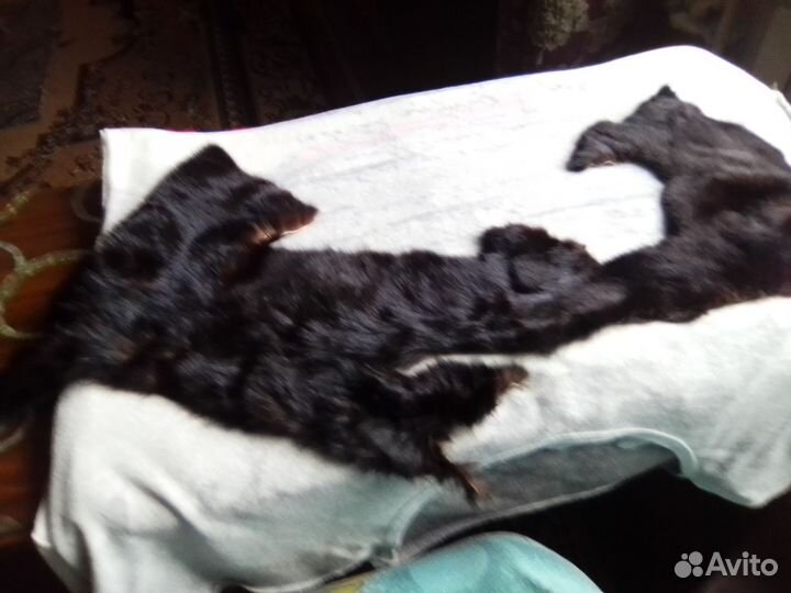 Мех норки остатки кусочки новые