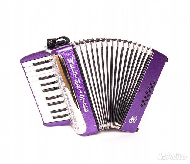 Kinderakkordeon Аккордеон детский 22/II/12/II, фио