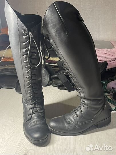 Конная амуниция бу