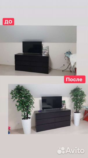 Искусственные растения