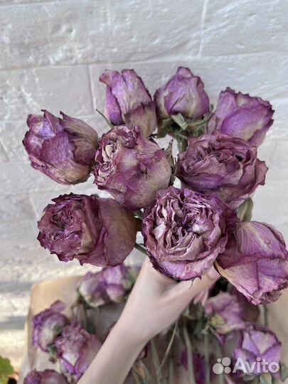Пионовидные розы сушеные для творчества сухоцветы