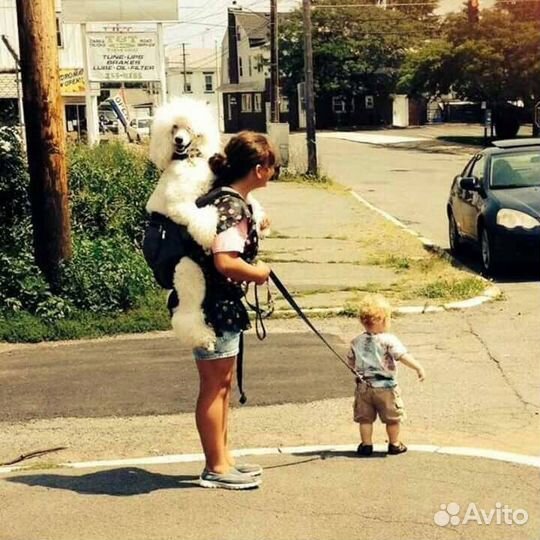 Няня для ребенка на час