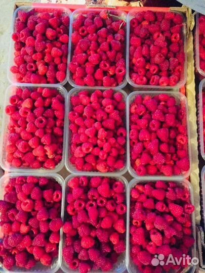 Малина и клубника