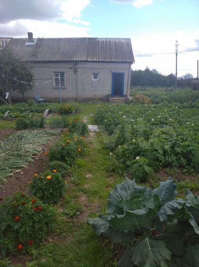 2-к. квартира, 52 м², 1/1 эт.