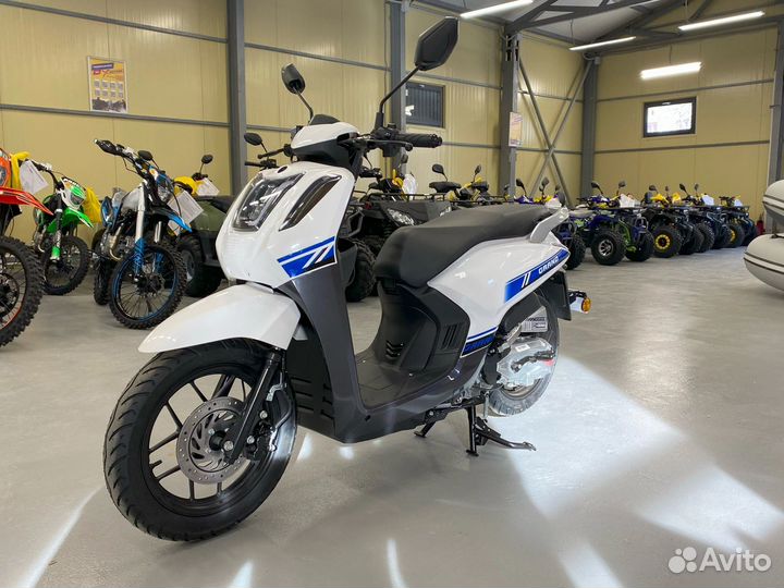 Скутер promax (Промакс) Grand 240(49)