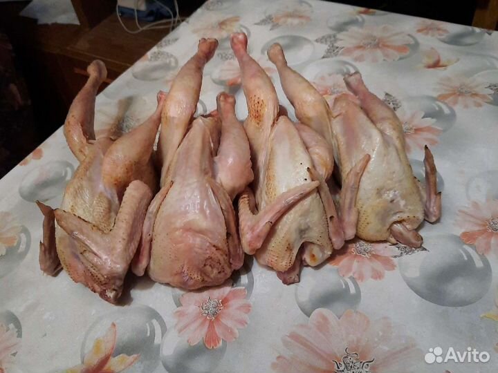 Мясо петуха петушки корнишоны, куры домашние