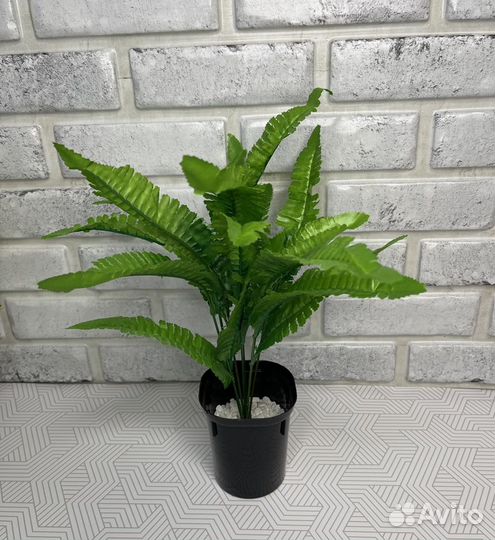 Искусственные растения 3 шт