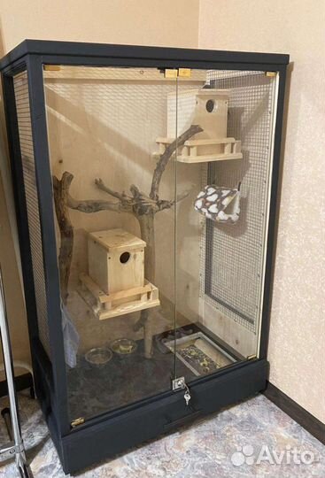 Витрина для шиншилл, белок летяг других грызунов