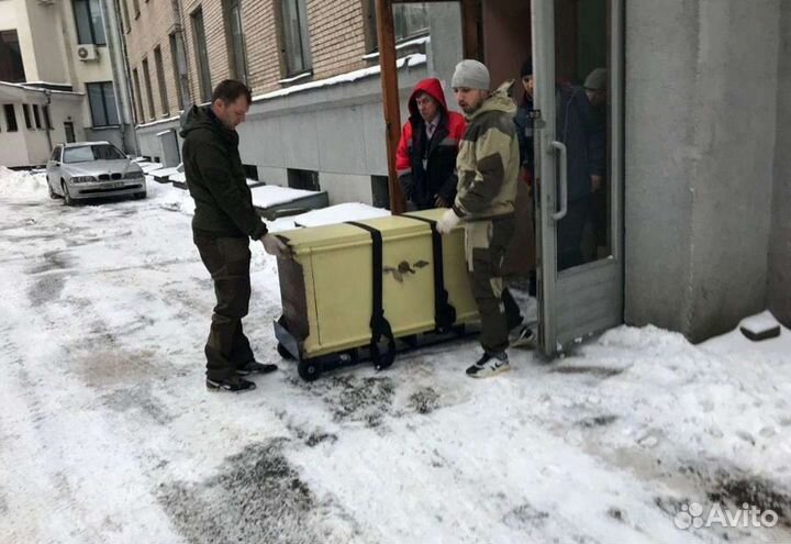 Грузчики