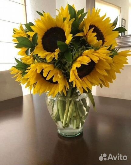 Подсолнухи