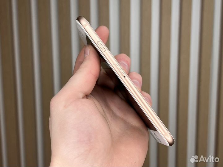 iPhone 8, 64 ГБ