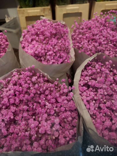 Гипсофила букет гипсофилы на 14 февраля доставка