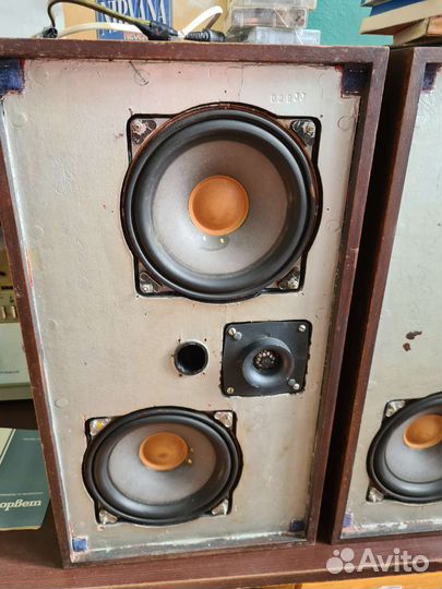 Самая Редкая Акустическая Система Корвет