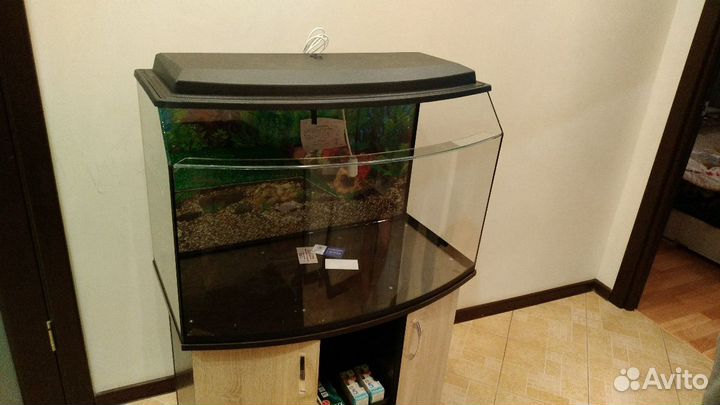 Аква Террариумы на заказ