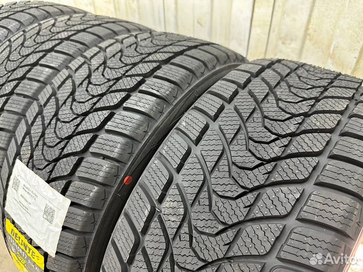 Delinte Winter WD1 215/55 R17