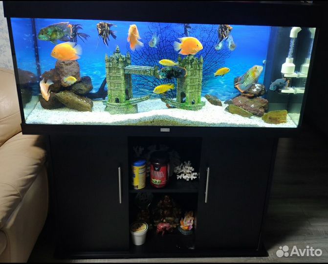 Аквариум с тумбой Juwel Rio на 240 литров