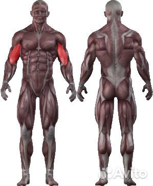 Бицепс машина с независимыми рычагами Johns SM 720