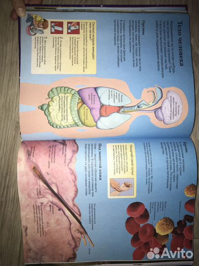 Новая детская энциклопедия