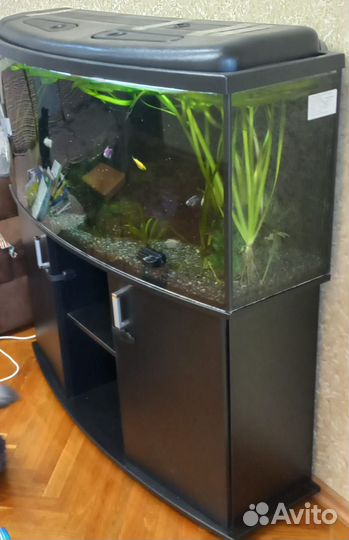 Аквариум с тумбой