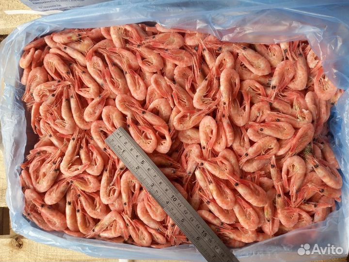 Северные креветки