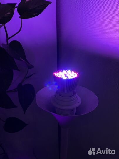 Лампа светодиодная
