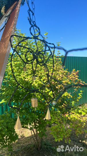 Колокольчики музыка ветра