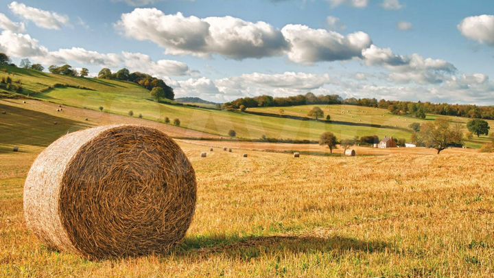 Участок 4735 га (СНТ, ДНП)