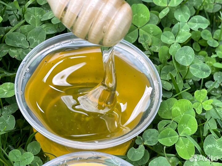 Донниковый,Гречишный и другие сорта мёда