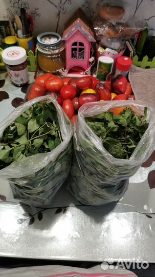 Душичка, Мята перечная