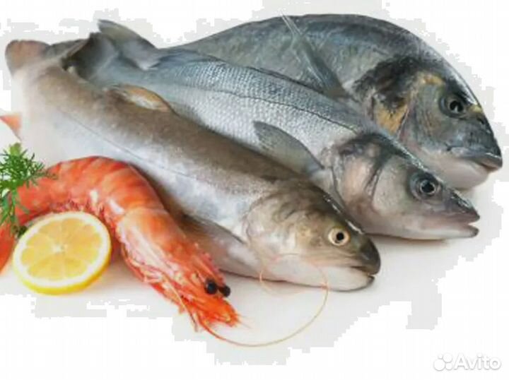 Готовая франшиза рыбы с поддержкой