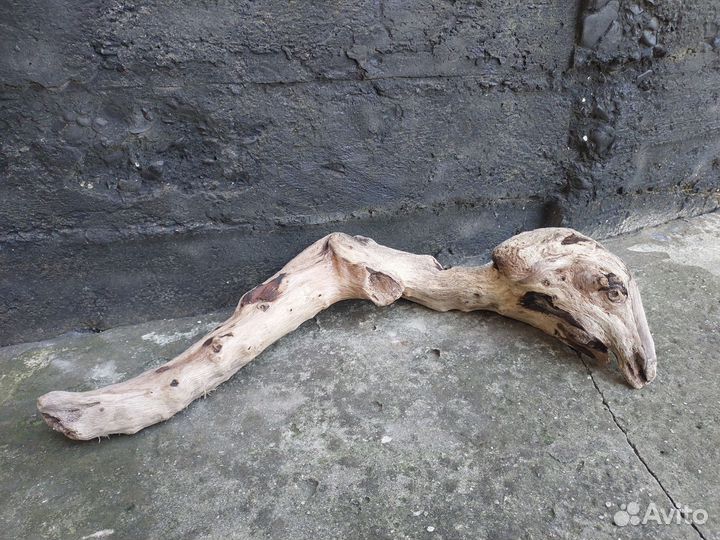 Коряги дрифтвуд