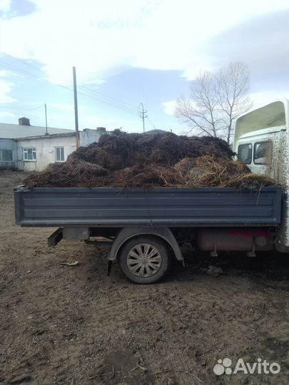 Продам навоз