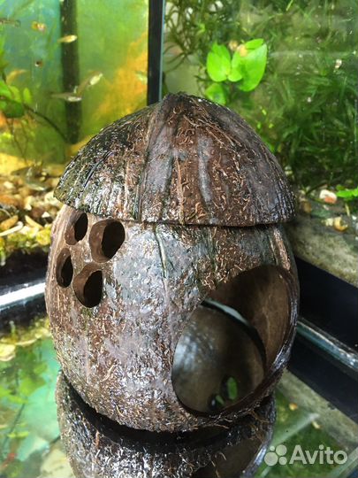 Кокос-грот для аквариума