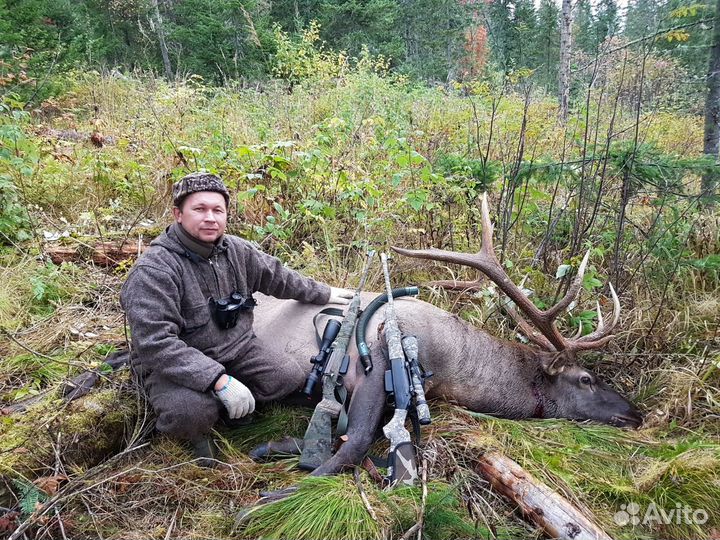 Манок на марала, изюбра (сша)