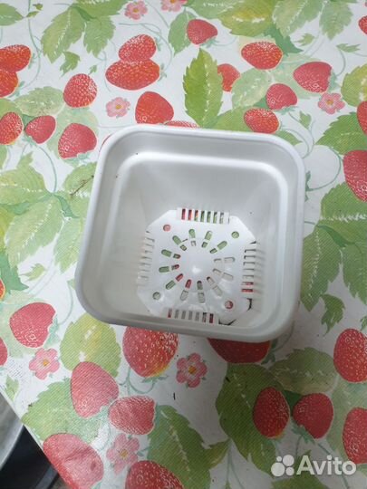 Горшочки для суккулентов