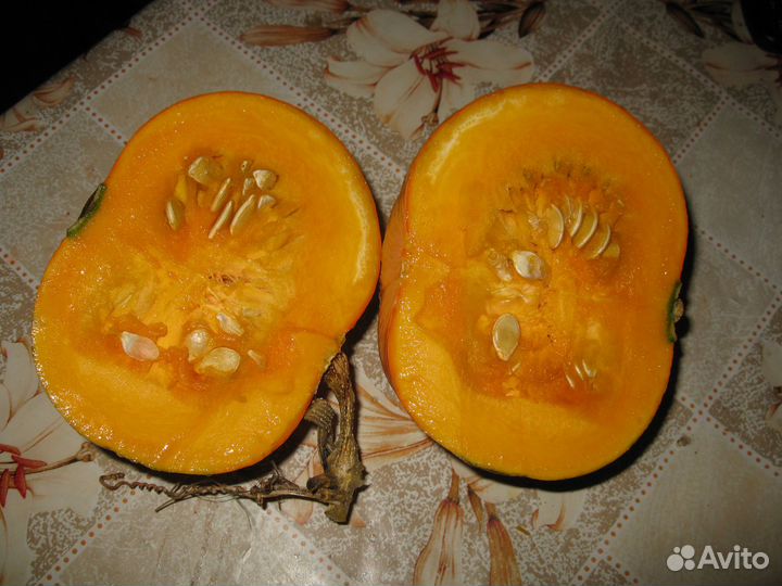 Семена круглой тыквы 500гр