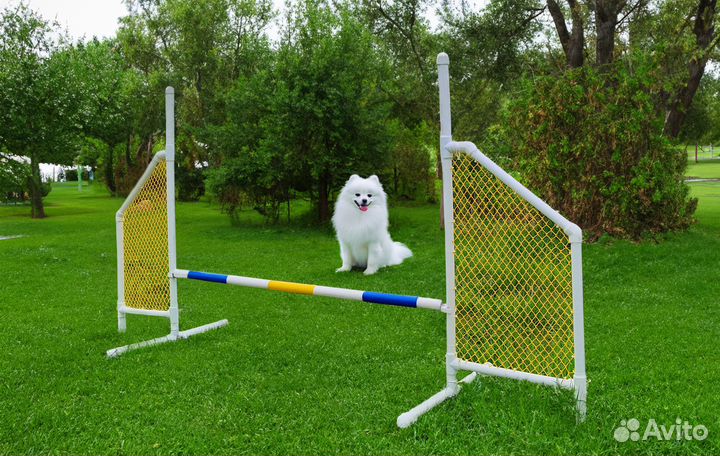 Барьеры для аджилити, слалом, тоннель, сумка-чехол